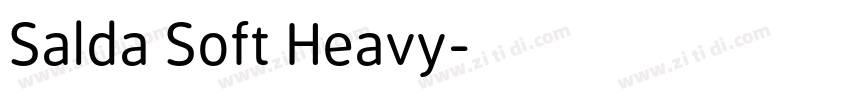 Salda Soft Heavy字体转换